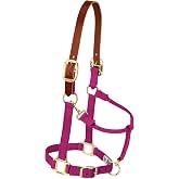 Weaver Leather Supply Original Non-Adjustable Nylon Horse Halter &ndash; Durable Nylon, Designed for Horses, Average Size, Reliable and Comfortable Fit