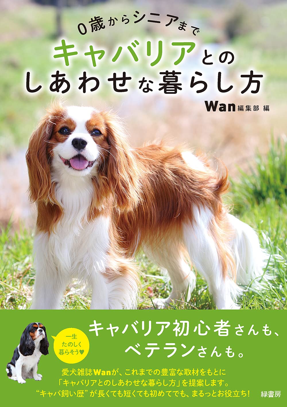 0歳からシニアまで キャバリアとのしあわせな暮らし方 Wan編集部 本 通販 Amazon