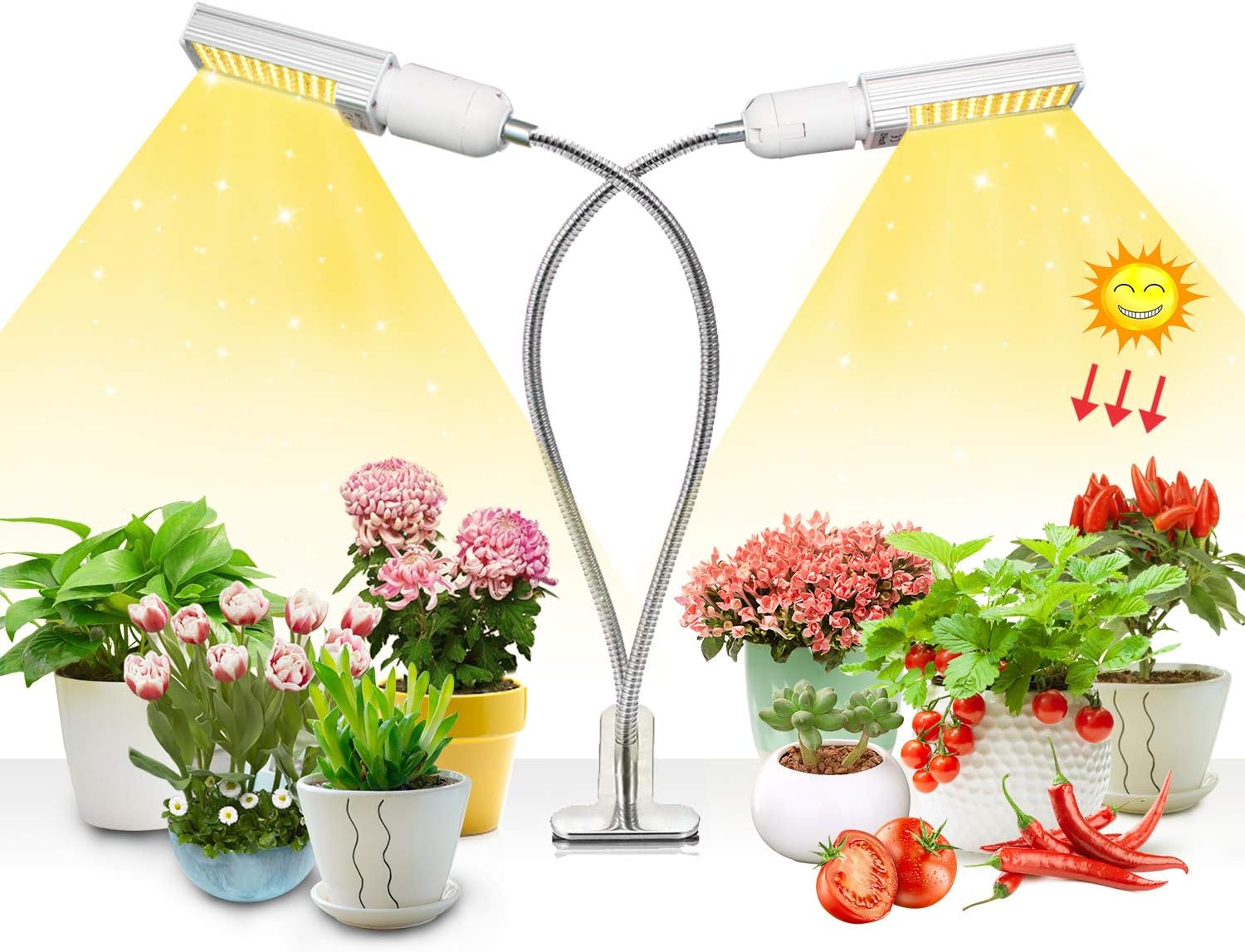 Niello Newest 50w Plant Light with Timer, LED Sunlike Grow