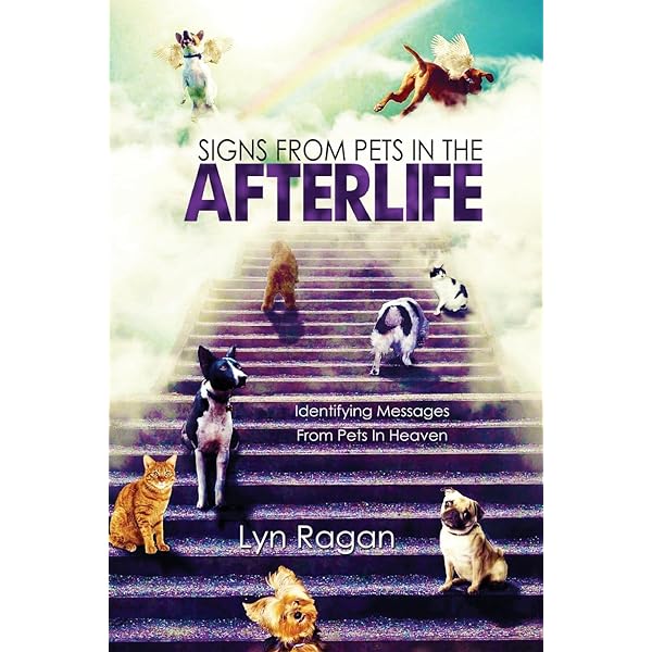 Amazon.com: Soul Dog: A Journey into the Spiritual Life of Animals