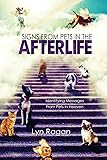 Signs From Pets In The Afterlife: Identifying