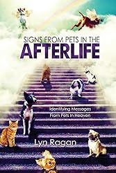 Signs From Pets In The Afterlife: Identifying