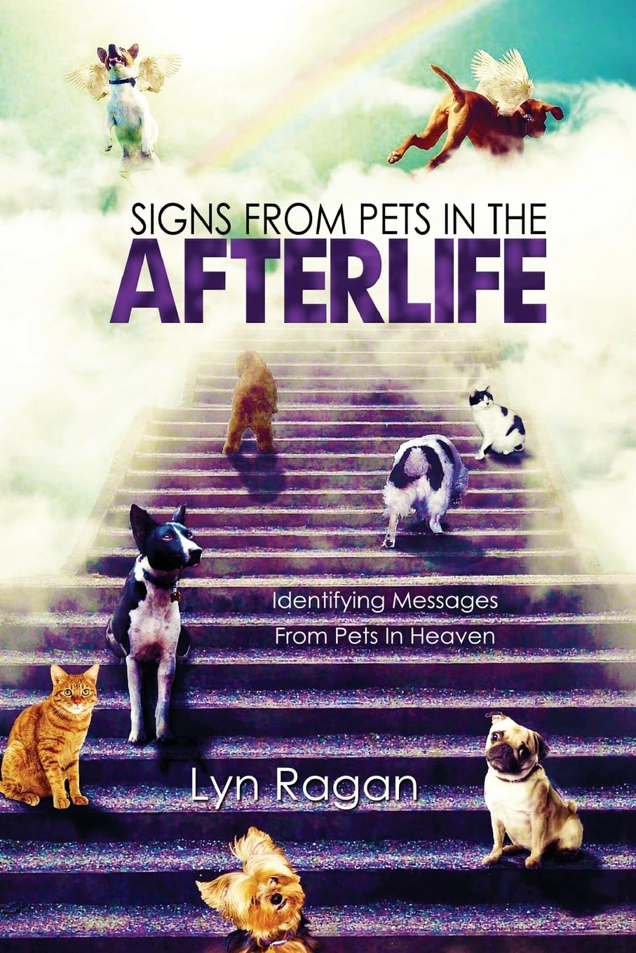 Signs From Pets In The Afterlife: Identifying
