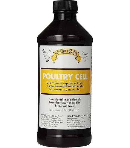 Bac Alimentation Poules Chèvres Bol Alimentaire En Caoutchouc 4L Pour Animaux – Seau Nourriture/abreuvoir – Pour Chèvres, Poules, Canards, Chats – Base Antidérapante Bac A Eau Chevaux Bac Alimentation Poules Chèvres Bol Alimentaire En Caoutchouc 4L Pour Animaux – Seau Nourriture/abreuvoir – Pour Chèvres, Poules, Canards, Chats – Base Antidérapante Bac A Eau Chevaux