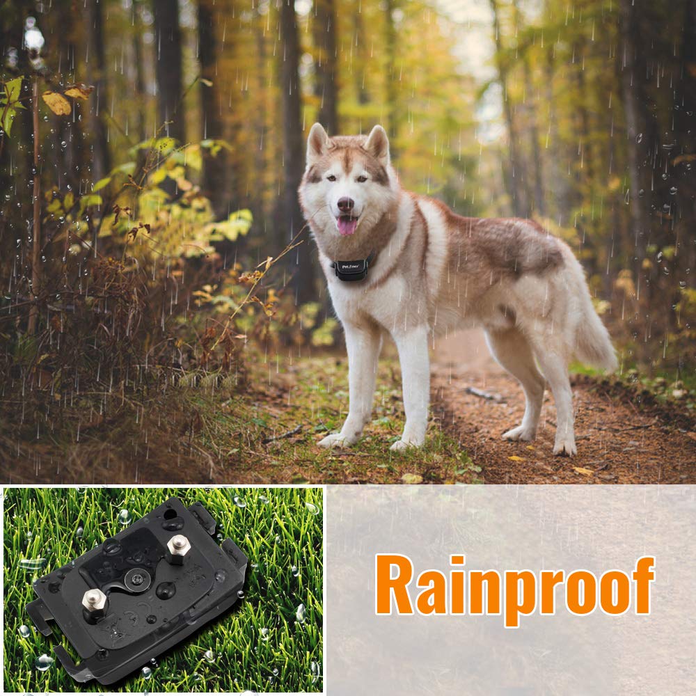 dog zapper for barking