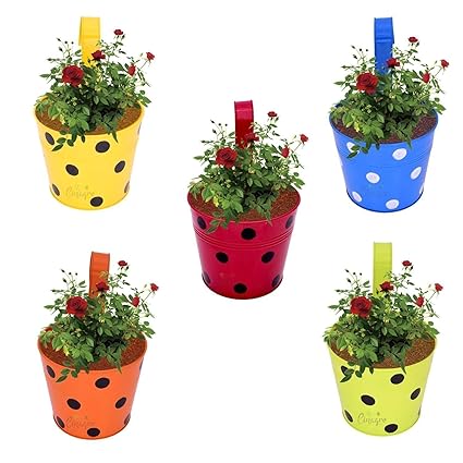 COUDRE Dotted Round Metal Railing Planters for Balcony, Terrace Garden, Flower pots for Home Decoration (Multicolour, Small)