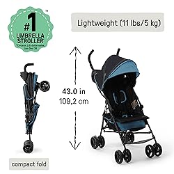 Ingenuity 3D Mini Convenience Stroller
