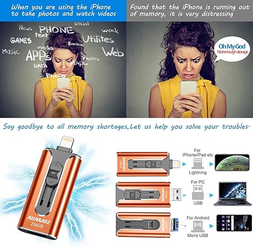 Flash Drive 256GB, AUAMOZ USB Memory Stick Photo Stick External