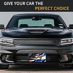 American Flag and Argentina Flag License Plates for