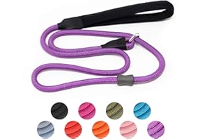 AAUFILUX Strong Slip Rope Dog Training Leash (4ft) - Heavy Duty Durable Braided Nylon Lead with Rubber Stopper & Padded Handle - Large Medium Small Dogs No Pull Walking (Purple, 1/2" x 4ft)