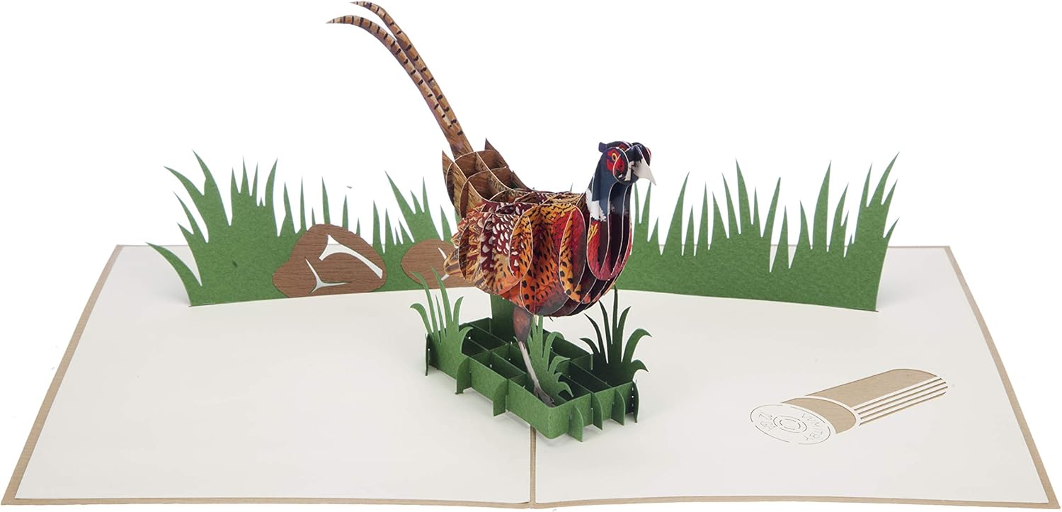 Cardology - Pheasant Shooting Pop Up Card, brown, 15cm x 20cm - Image 4