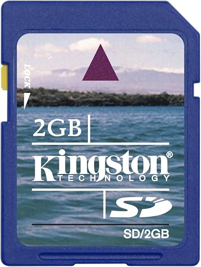 Kingston 2GB Secure Digital SD Card - Blue, Reliable Storage