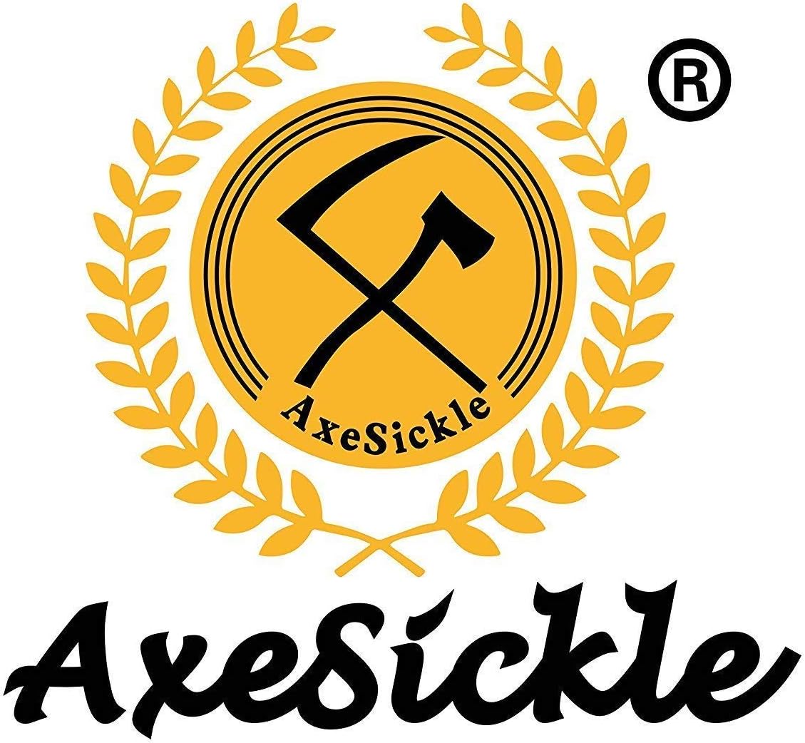 Axe Sickle 3pcs Plastic Safety Squeeze Bottle 500 mL Wash Bottle Watering Tool, Lab Tip Liquid Storage, 16oz / 3 Bottle. : Garden & Outdoor