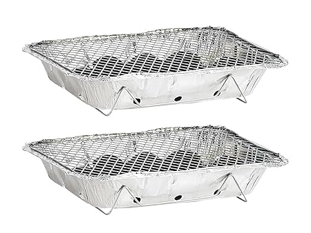 infactory Grill: Handliche Einweggrills im 2er-Pack, mit 500 g Kohle und Anzünder (Einmalgrill)
