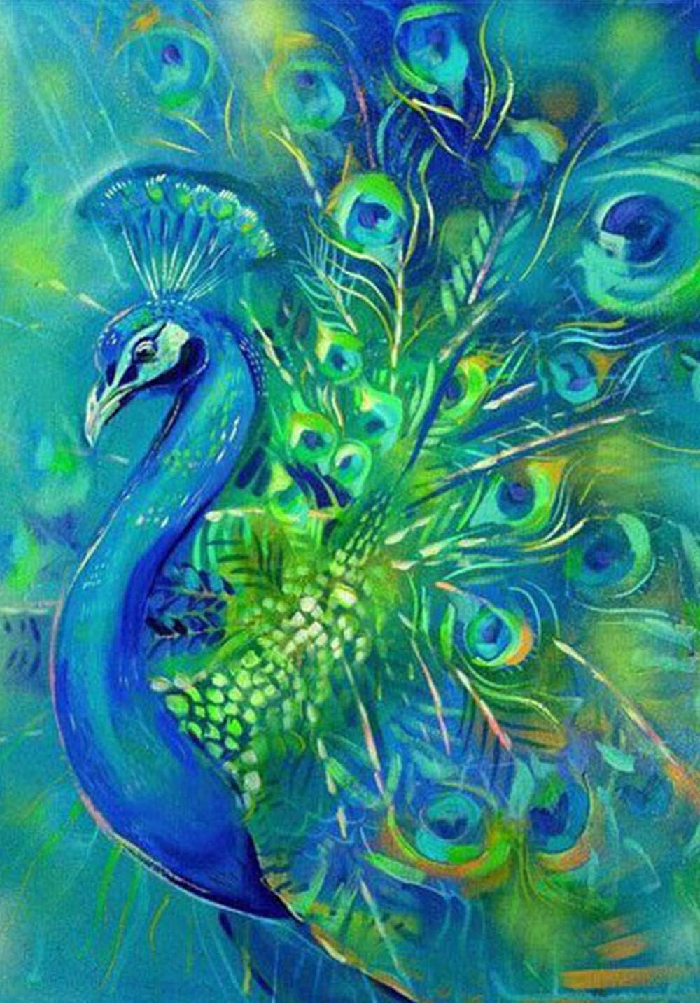 DIY 5D Diamond Painting Rhinestone Pictures of Crystals Embroidery Kits Arts, Crafts & Sewing Cross Stitch Peacock12X16Inch