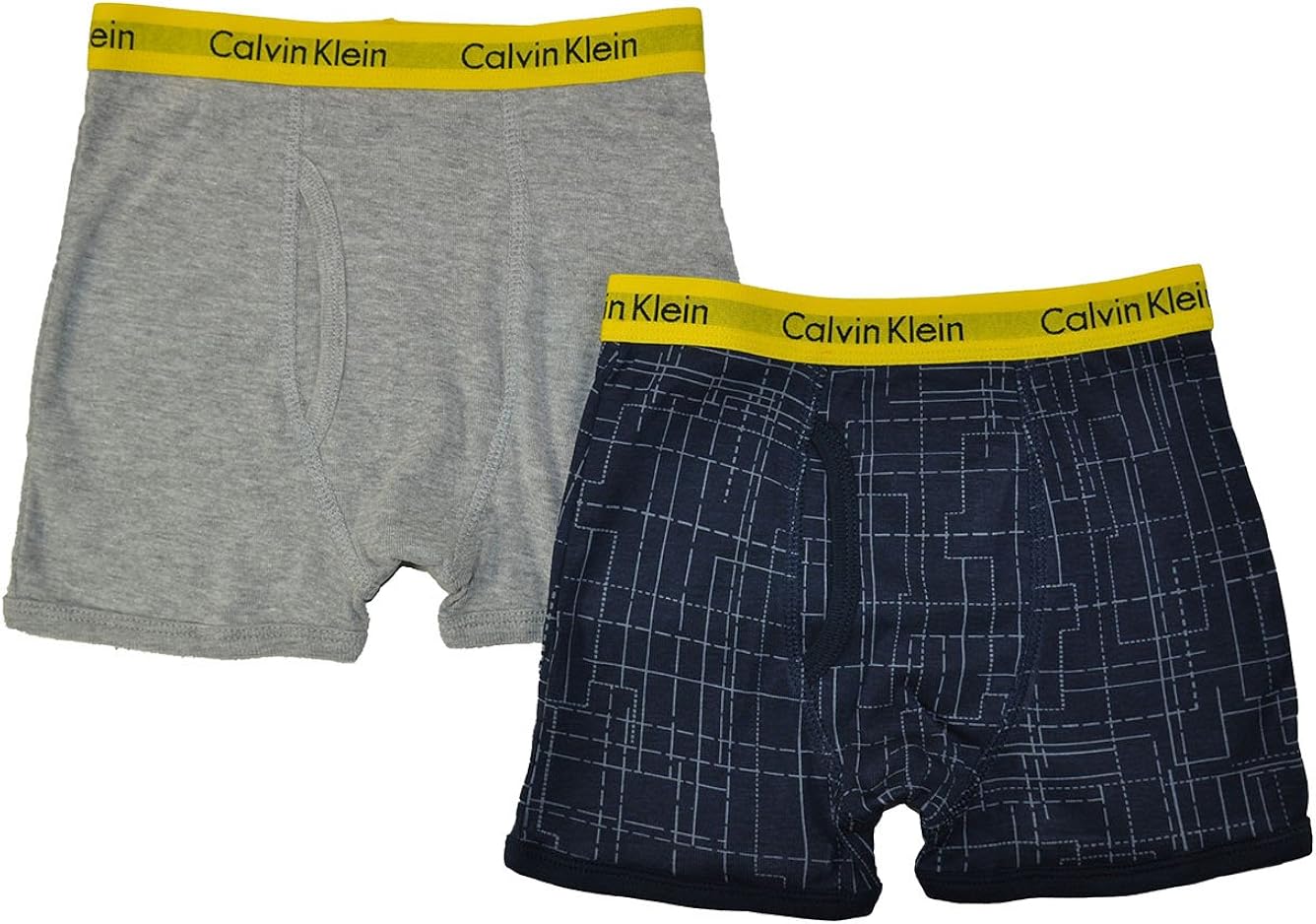 Calvin Klein Big Boys' Boxer Briefs, L(1214), Blue and