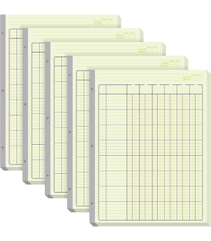 Suituts 100 Sheets Accounting Ledger Paper With 3 Ring