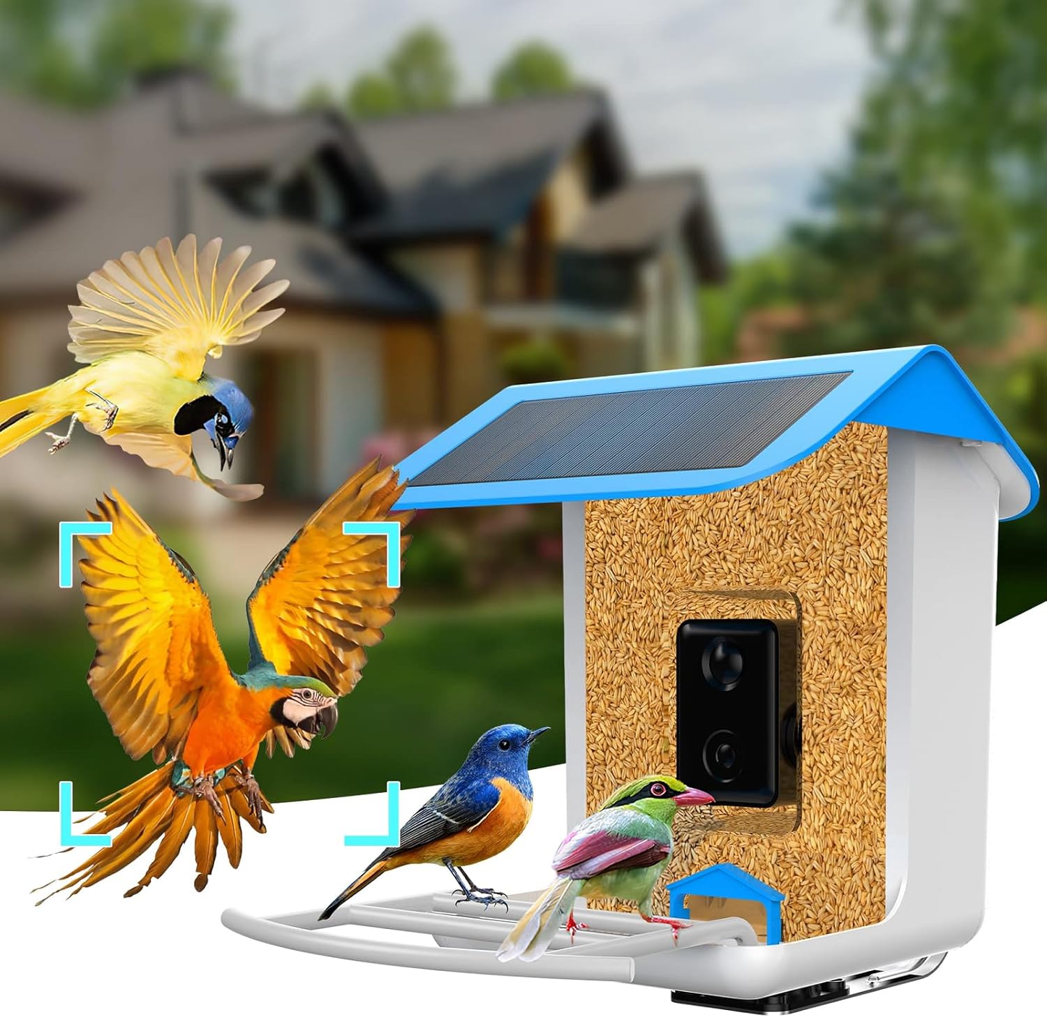 Backyard Birding & Wildlife - Bird Feeder with Camera-Smart Bird Watcher Camera with Solar Pannel, Auto Capture Bird Videos-AI Intelligent Recognition Birds Spieces-Wireless Camera Bird Watching Gifts for Family