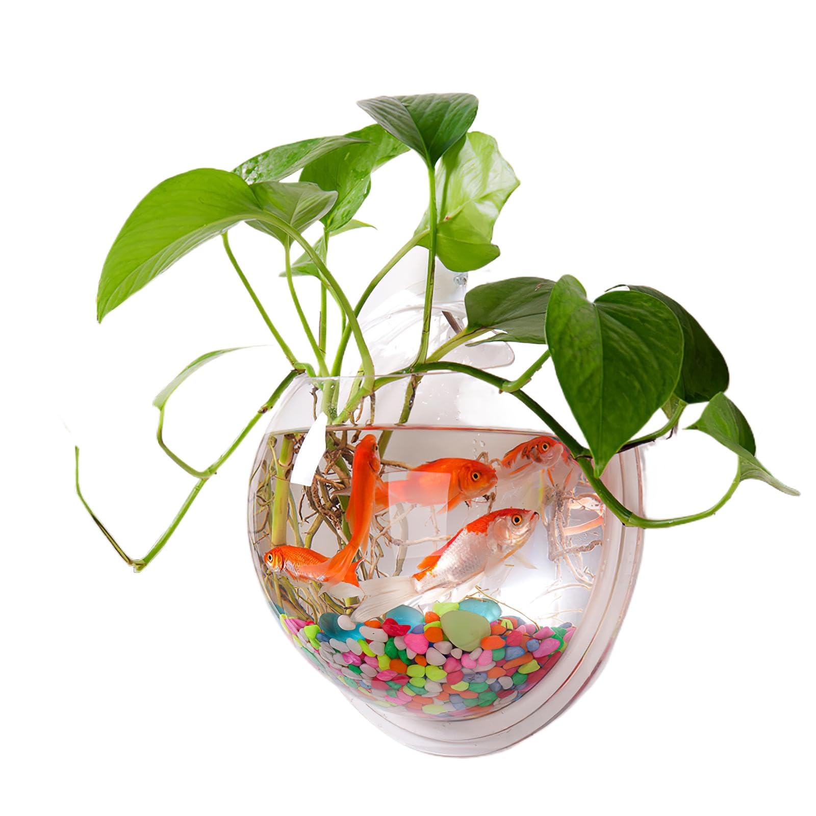 Alipis Wall Mounted Fish Tank Transparent Hanging Aquarium Bowl 9.45In Diameter Space-Saving Home Decor Suitable for Small Fish and Plants