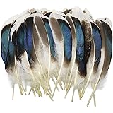 LUORNG 150PCS Duck Feathers, Natural Feathers for DIY Craft Art, Decor Feathers for Carnival Halloween Handwork Clothing Cost