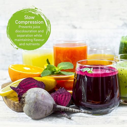 Panasonic MJ-L500 Slow Juicer with Frozen Treat Attachment, Black - Technical View