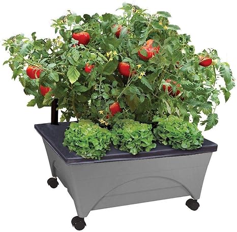 Amazon.com: CITY PICKERS 24.5-inch X 20.5-inch Patio Raised Garden Bed