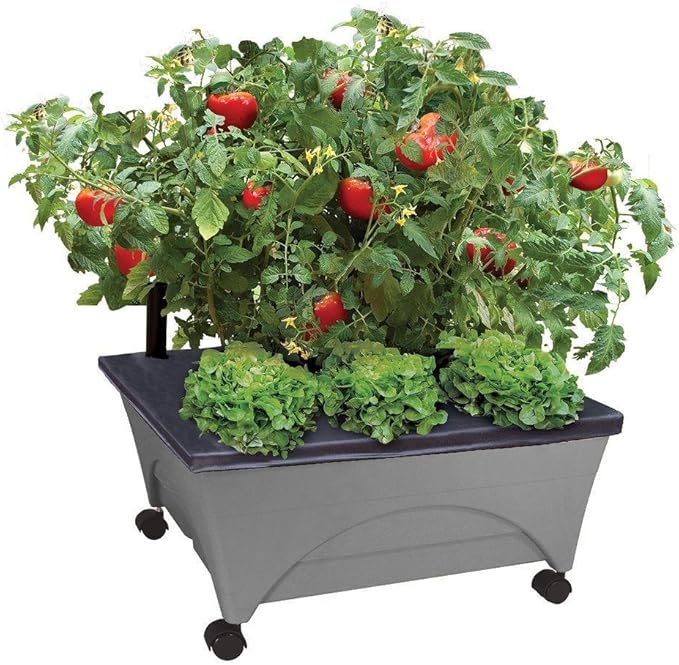 Amazon.com: CITY PICKERS 24.5-inch X 20.5-inch Patio Raised Garden Bed