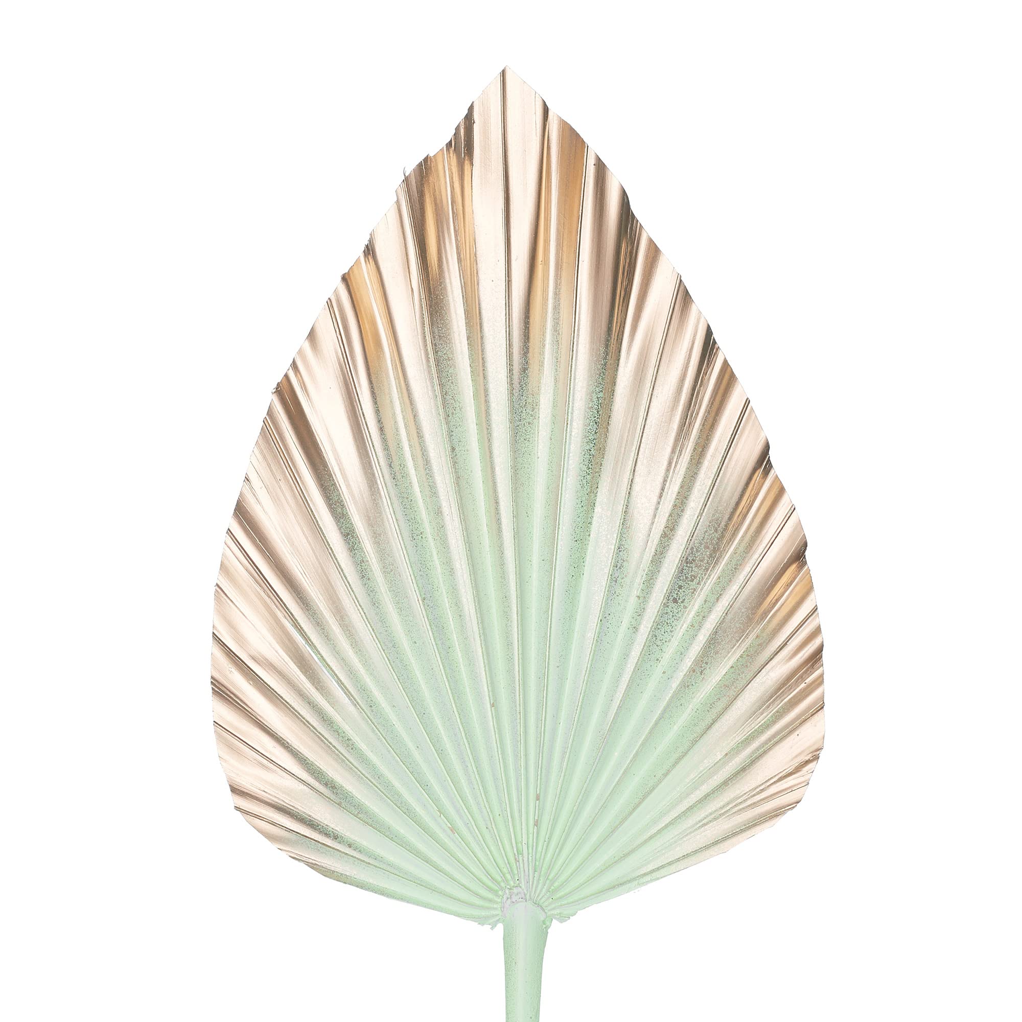 The Baked Studio - Dried Palm Leaf Leaves Palm Spear Cake Topper for Cake Decoration (Mint & Gold Ombre)
