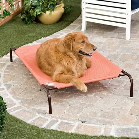 coolaroo pet bed