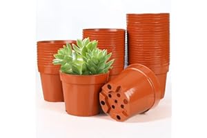 BUATİLO 50 Pcs 2 Inch Plastic Plant Nursery Pots, Seed Starter Pots and Cutting Pots for Succulent Plants,Drainage Hole Succulent Seedling Nursery Pots,Small Round Fresh Plastic Nursery Pots