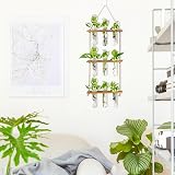 XXXFLOWER Wall Hanging Propagation Station 3 Tier Wooden Stand 9 Test Tubes view 3