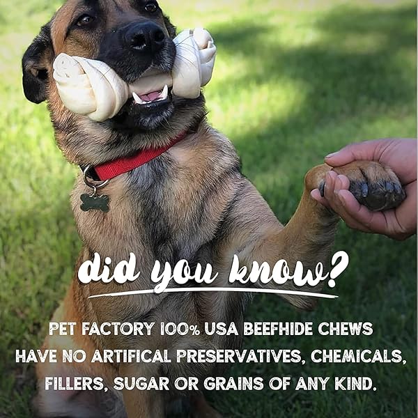 PET FACTORY 100% MADE IN USA BEEFHIDE 7″ BRAIDED STICKS DOG CHEW TREATS – PEANUT BUTTER FLAVOR, 6 COUNT/1 PACK