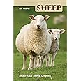Sheep: Small Scale Sheep Keeping (Hobby Farm)
