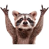GRITKULTURE Removable 7-Inch Rocking Raccoon Decal Sticker for Funny Cute Prank Bumper Car, Truck, Laptop Wall Window -Zero R