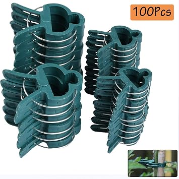 TIMESETL 100PCS Clips para Plantas de jardín (tamaño 2), Clips ...