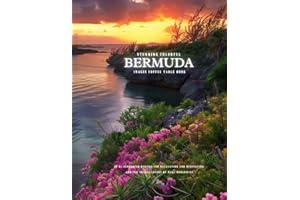 Stunning Colorful Bermuda Images Coffee Table Book: 40 AI-Generated Designs for Relaxation and Meditation and for Travel Love