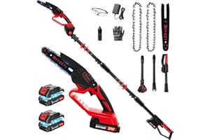 Dnveey Cordless Pole Saw for Tree Trimming, 2-in-1 Electric Pole Saw with 800W Brushless Motor, 2x21V Batteries, 6-Inch Handheld Saw for Pruning & Yard Work (DZJ3028)