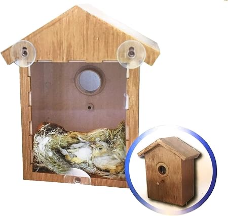 Amazon Com My Spy Birdhouse Garden Outdoor