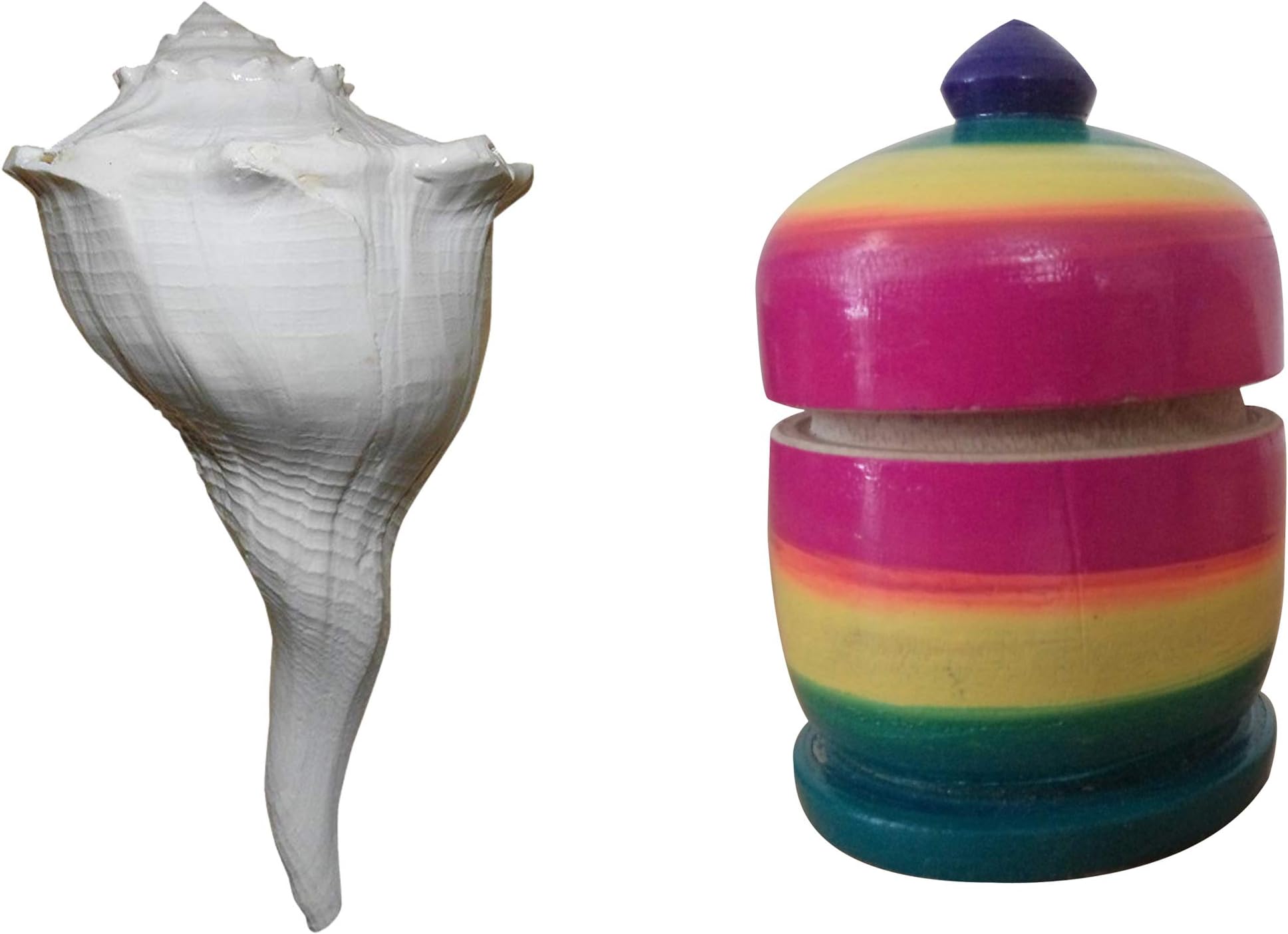 Artszone Shell Valampuri/Dakshinavarti Shankh Original, Sangu (White, 13-14 cm) and 1 Beautiful Kumkum/Sindhoor Box -(Combo)