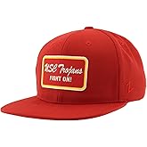 ZHATS Standard NCAA Officially Licensed Hat Flat Snapback Z11 Brick Team Color, One Size