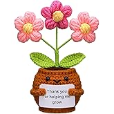 Wavwavw Valentine's Day Teacher Appreciation Gifts Thank You for Helping Me Grow Handmade Crochet Flower Doll with Card for Teacher Graduation Gifts Office Decor(Puff Flower)
