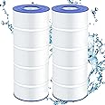 2 Pack PA120 Replacement Pool Filter Compatible with Hayward C1200, CX1200RE, Unicel C-8412, Filbur FC-1293, Clearwater II 125, Waterway Pro Clean PCCF-125, 817-0125N, 120 Sq. Ft Cartridge