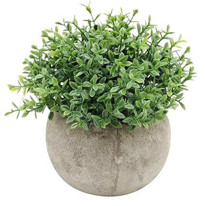Amazon Com Zamtac Mini Decorative Plastic Artificial Plants Grass