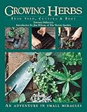 Growing Herbs from Seed, Cutting, and Root: An Adventure in Small Miracles by Thomas DeBaggio, Jim Wilson