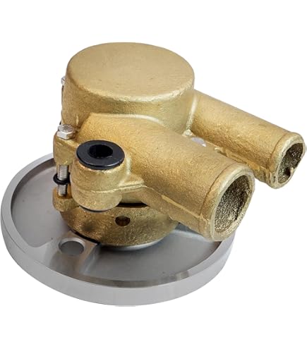 Amazon.com: Raw Water Sea impeller Pump 21212800 3812518 8.1L