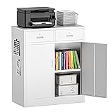 TaskStorz Metal Storage Cabinet with 2 Drawers