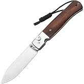 CJRB Glacier Folding Knife, 3.54'' AR-RPM9 Steel Blade, Wood Handle | EDC Knife with Button Lock, Pocket Knife with Clip, for Daily Use Outdoor Camping Hiking Survival, J1961