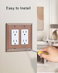 TREEWELL 2-Pack Decorative Double Decorator Outlet