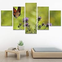 SIGNWIN 5 Panel Canvas Wall Art Birds Butterfly Closeup Colorful Contemporary Home Office Modern Art Multicolor Photography for Home Decorations Ready to Hang - 60