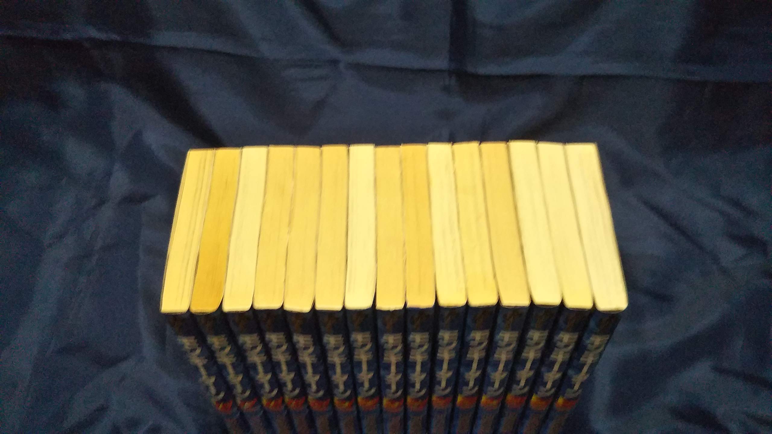 モンキーターン コミック 全30巻完結セット 少年サンデーコミックス マーケットプレイス コミックセット 河合 克敏 本 通販 Amazon